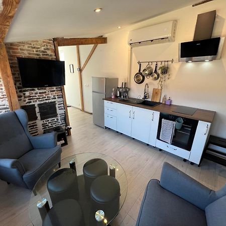 Bellevue Appartement Sous Les Toits Hypercentre Climatise Dole Luaran gambar